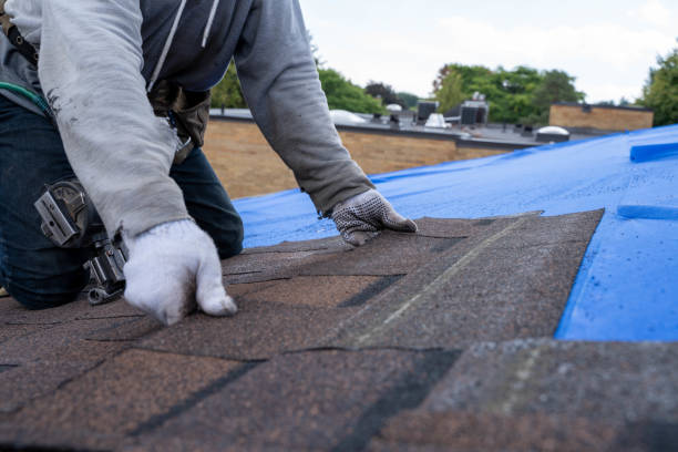 Best Roof Replacement Cost  in Copperopolis, CA